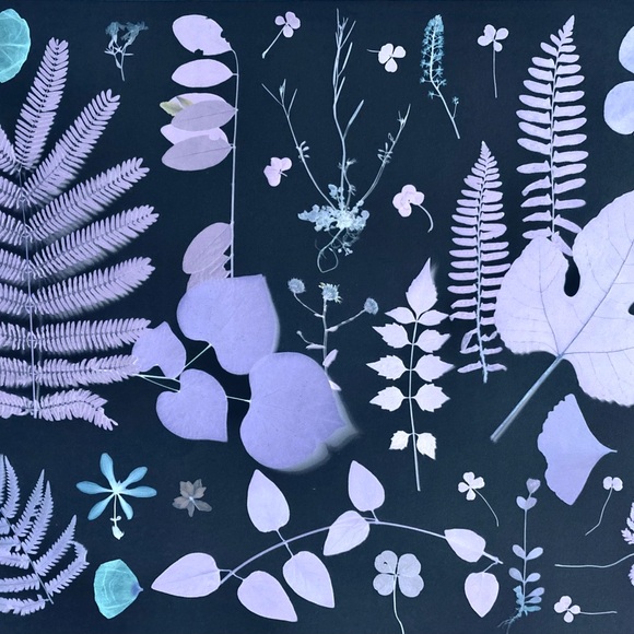 Meet your Posher, Morgan - Picture 1 of 1